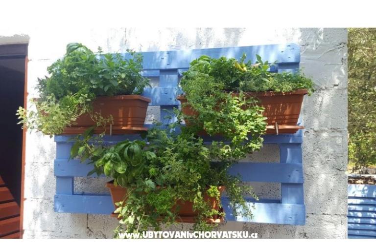 Apartments Maris – photo 16