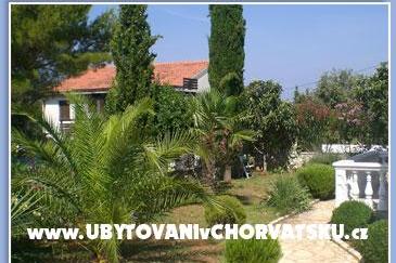 Apartments Misic – photo 2