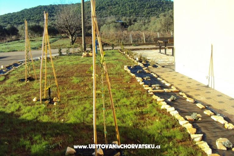 Apartments Pašman – photo 16