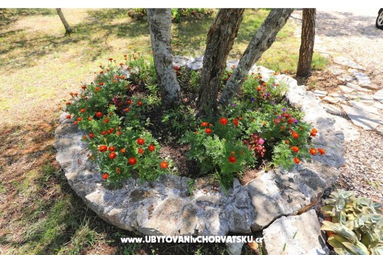 Apartments Suzana – photo 18