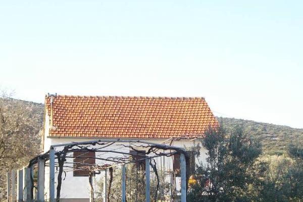 Rudi apartman – photo 2