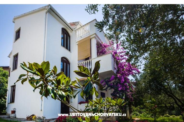 Apartments Ivanka – photo 5