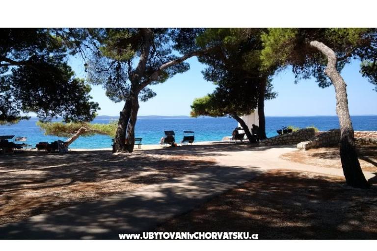 Apartments Niksa – photo 17