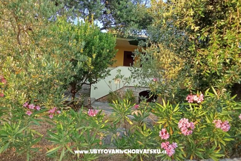 Apartments Dani – photo 22