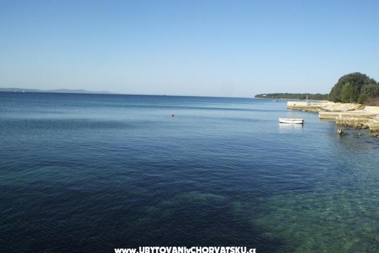 Villa Annie – photo 17