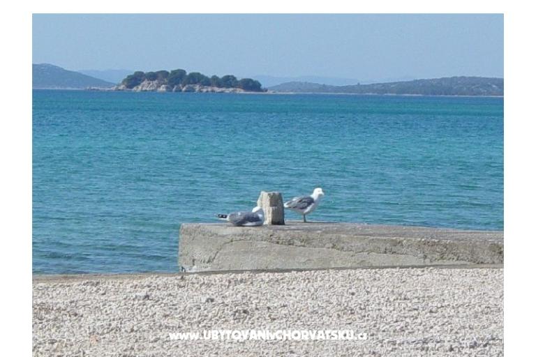 Apartments Anka Šinkić – photo 13