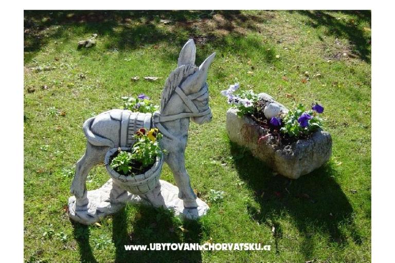 Apartments Anka Šinkić – photo 16