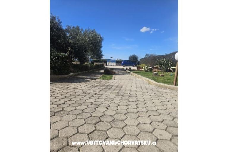 Apartments Anka Šinkić – photo 21