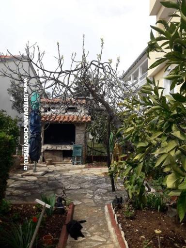 Apartments Erak – photo 6