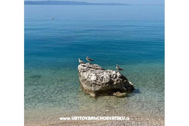 Villa Stefa Pirovac  – photo 10