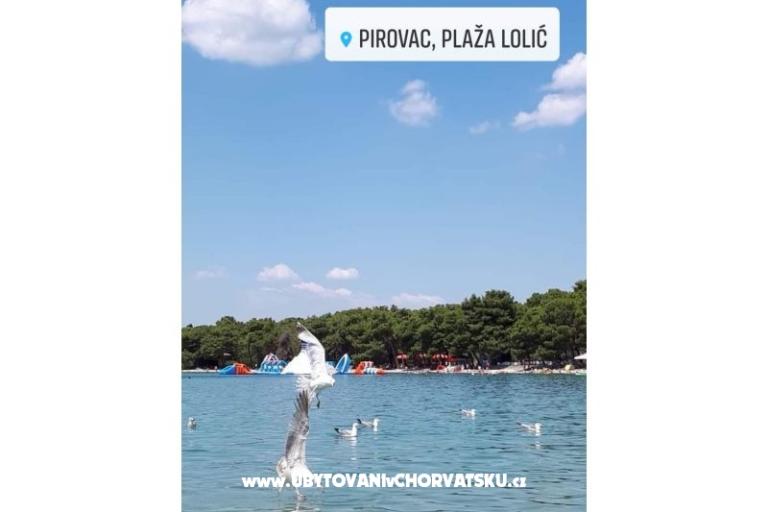 Villa Stefa Pirovac  – photo 2