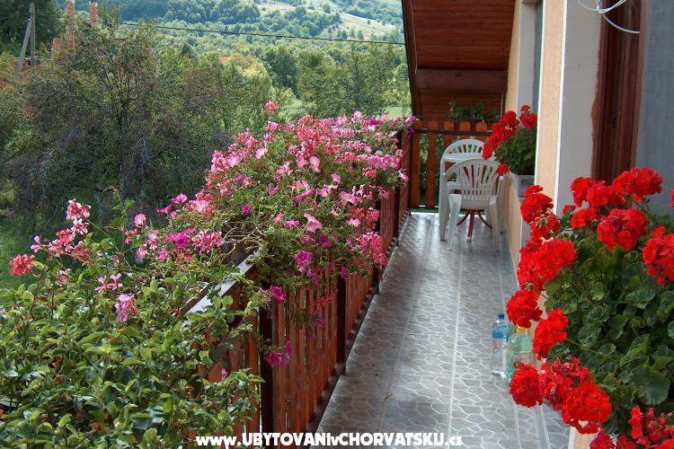 Apartma Hodak – photo 2