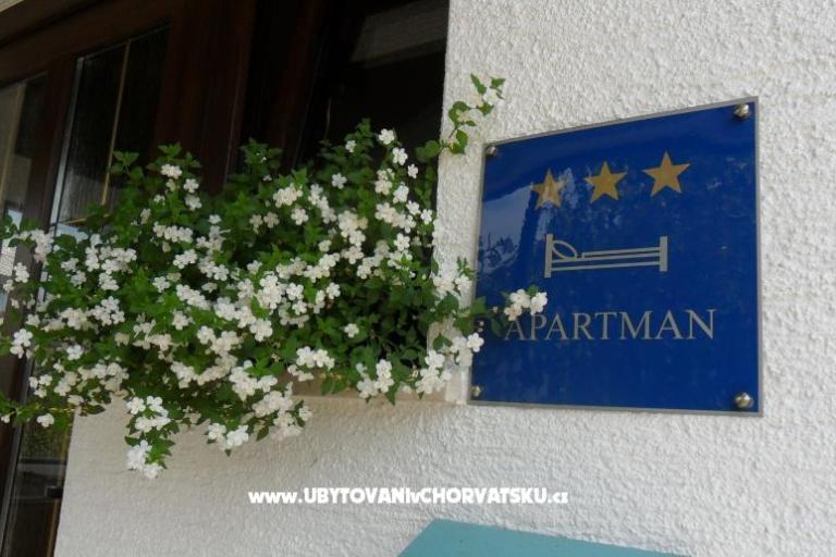 Apartment Patar – photo 6