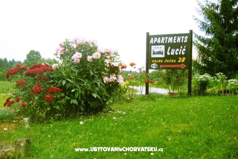 Apartments Lucić – photo 9
