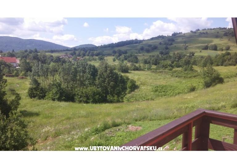 Blazenka Hodak – photo 15