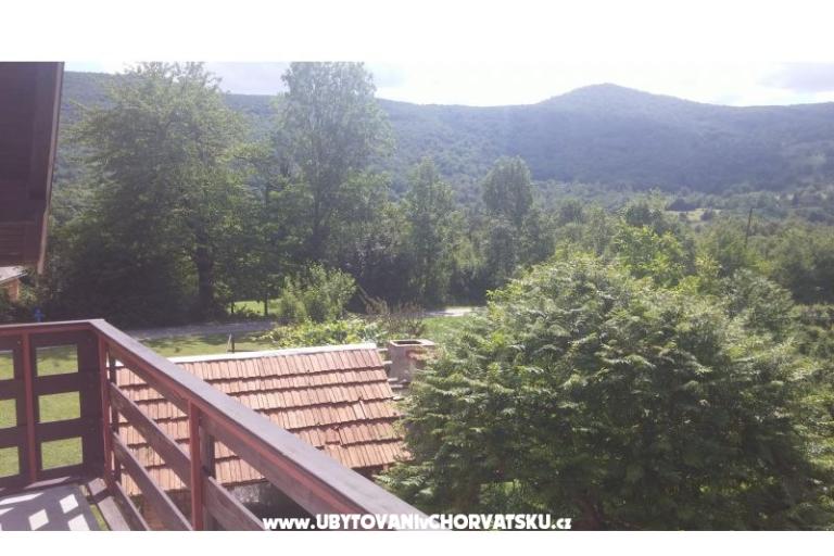 Blazenka Hodak – photo 16