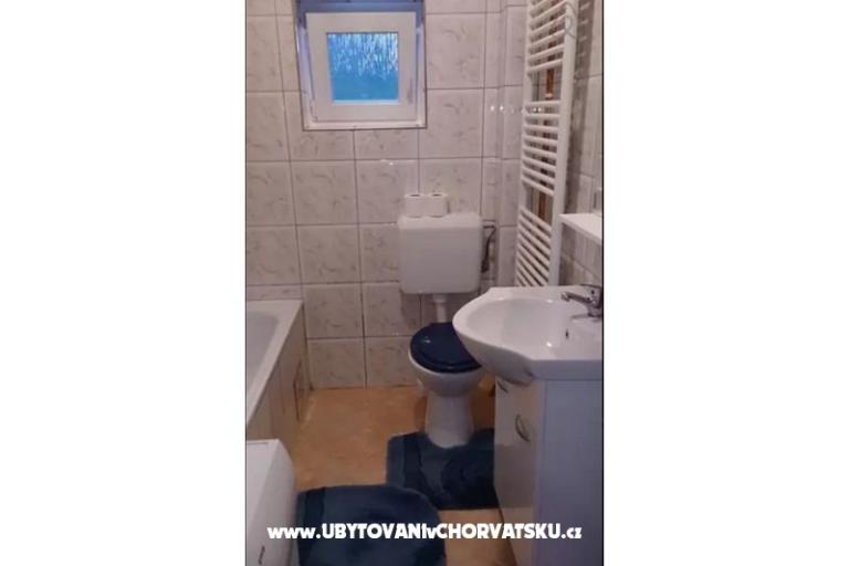 Blazenka Hodak – photo 9