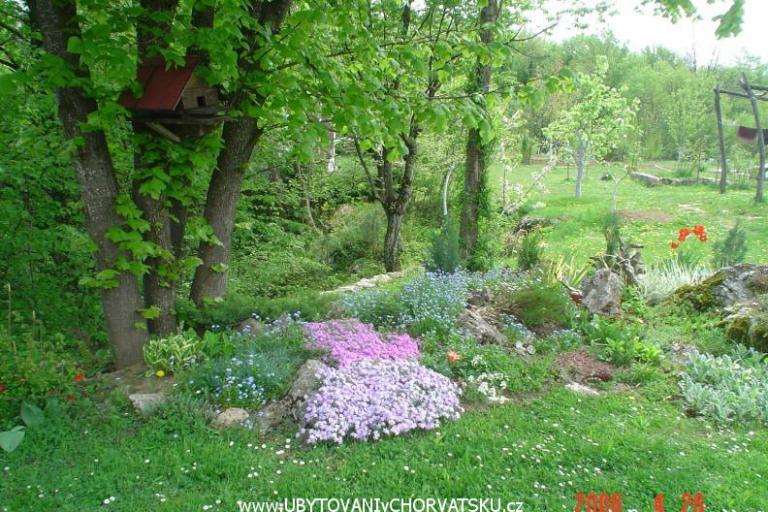 House Tudic – photo 2