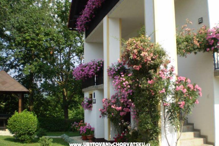 House Pavlic – photo 3