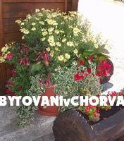 House Spoljaric – photo 7