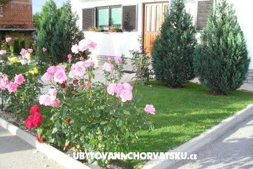 House Osana – photo 11
