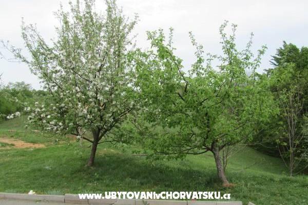 Rooms Sanja – photo 11