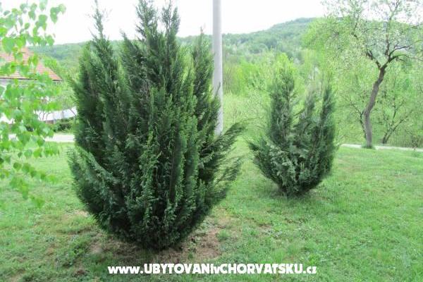 Rooms Sanja – photo 13
