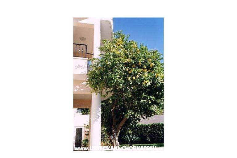 Villa Mozart – photo 17