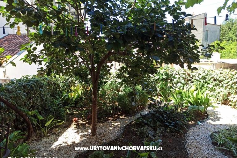 Apartments Flora – photo 2