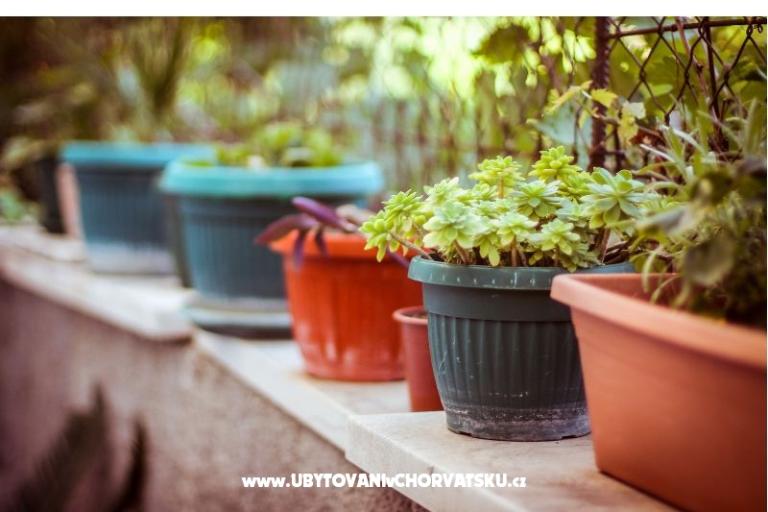 Apartments Villa  Jasminka – photo 12