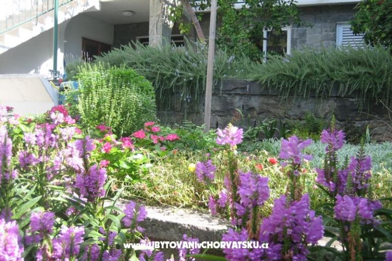 Apartments Draga – photo 3