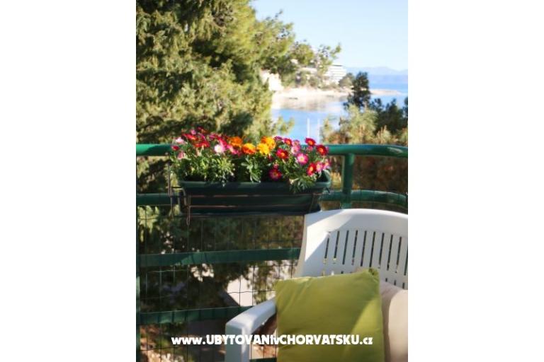 Apartments Kržanić – photo 10