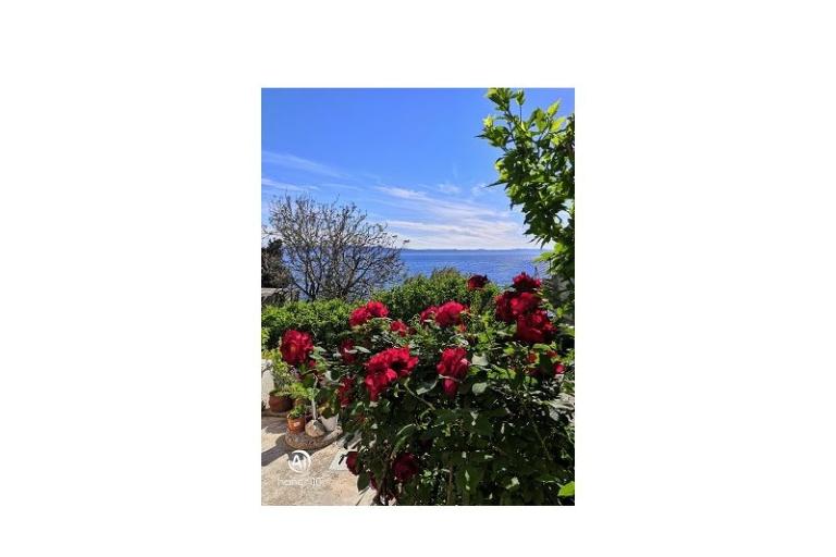 Apartments Milica – photo 9