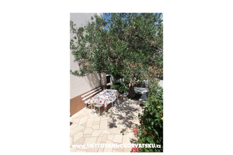 App Lili – photo 7