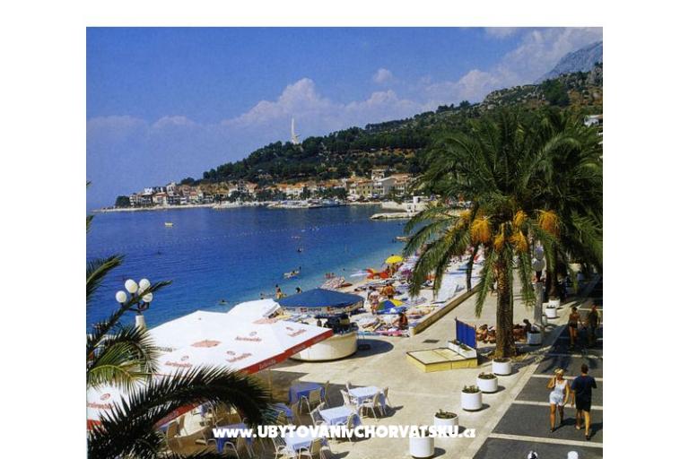 App Lili – photo 8