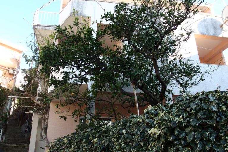 Olga apartmani – photo 3