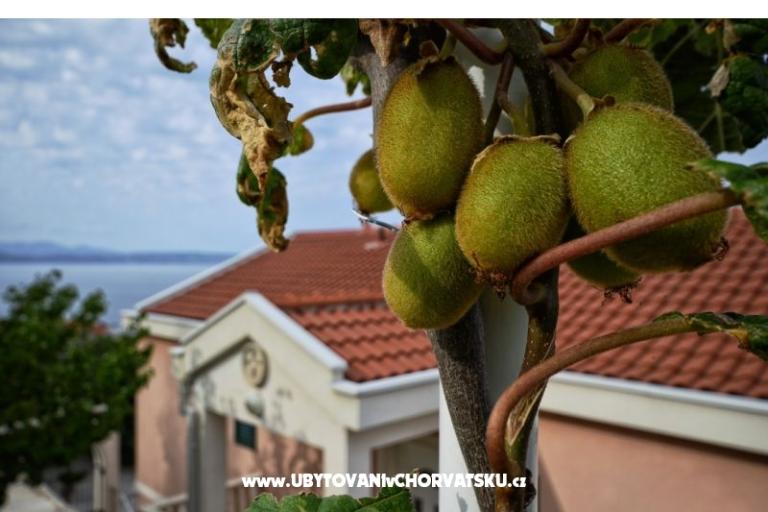 Villa Dado – photo 10