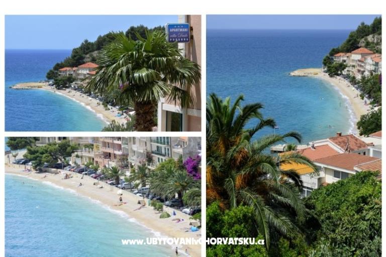 Villa Dado – photo 6