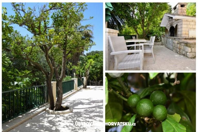 Villa Dado – photo 7