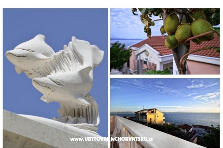 Villa Dado – photo 9