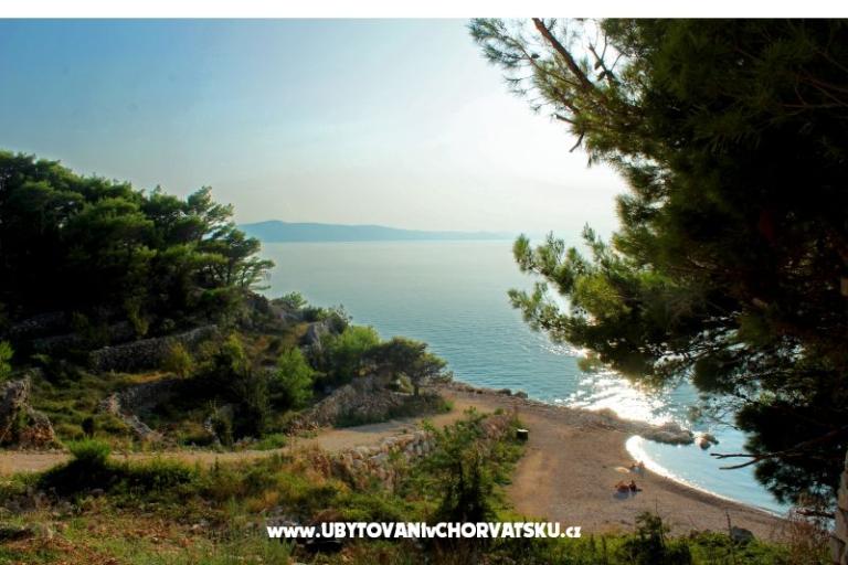 Villa Nika – photo 6