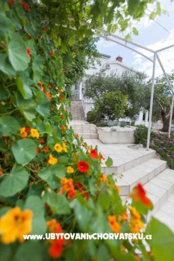 Villa Nola – photo 17