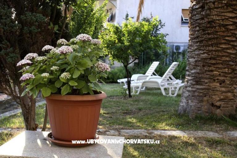 Apartments Domeniko – photo 7