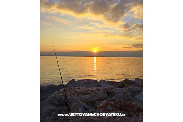 Apartments Božiković – photo 8