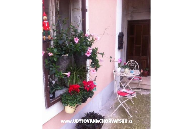 Apartments SARA – photo 12