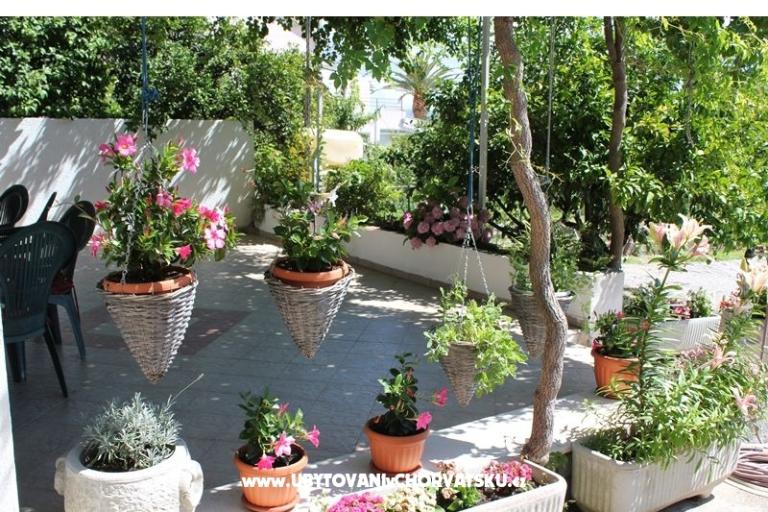 Apartments SARA – photo 6