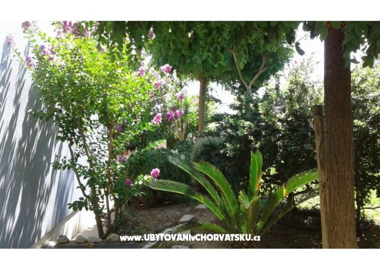 Villa Gina – photo 5