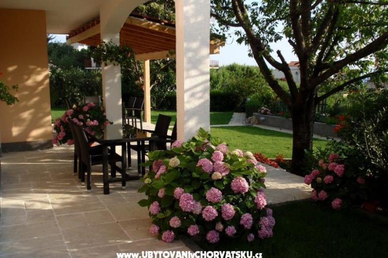 Apartments Sara i Nino – photo 2