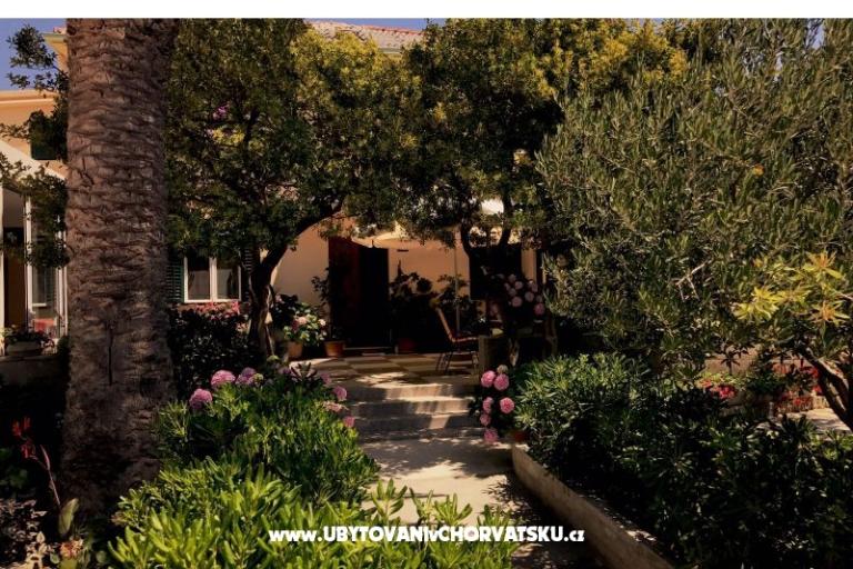 Apartments & Rooms Tomas – photo 6