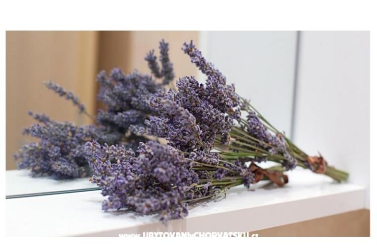 Apartments King – photo 10